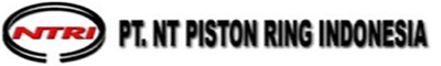 NT Piston Ring Indonesia